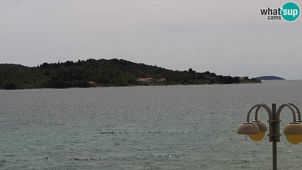 Vodice Live webcam – marina and  seafront