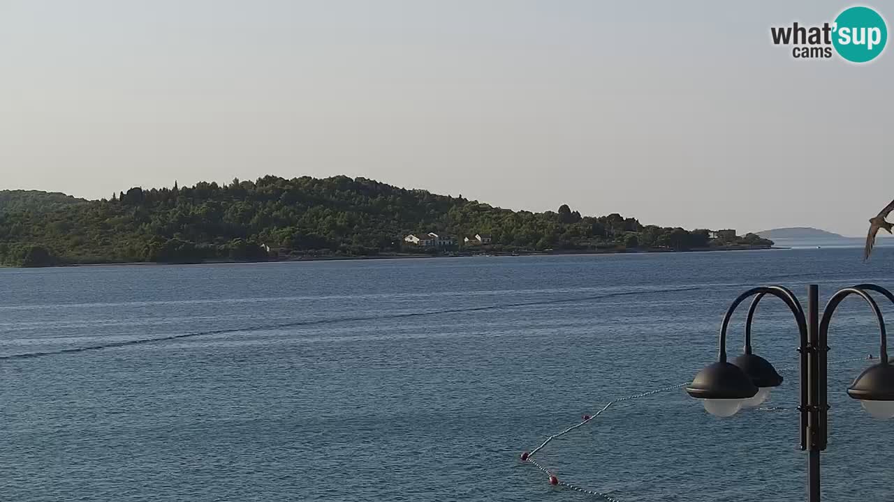 Vodice spletna kamera – marina in riva