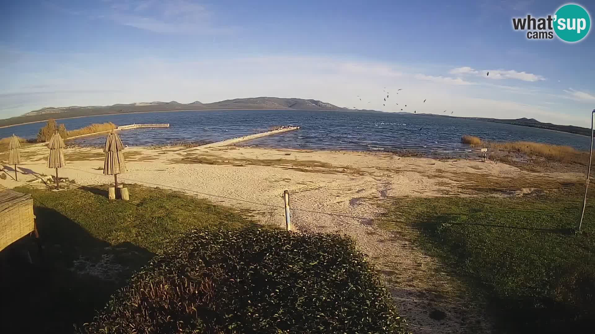 Vransko jezero spletna kamera