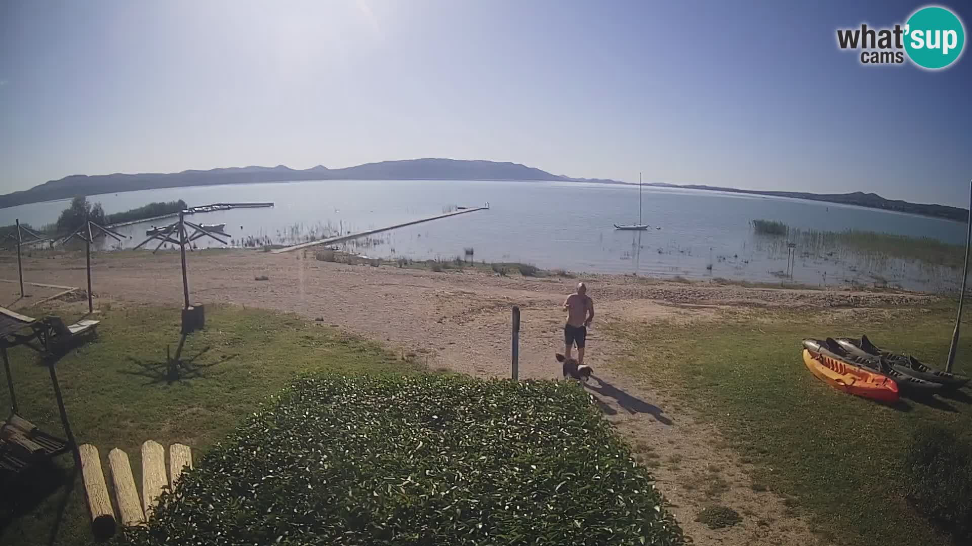Lake Vransko jezero webcam