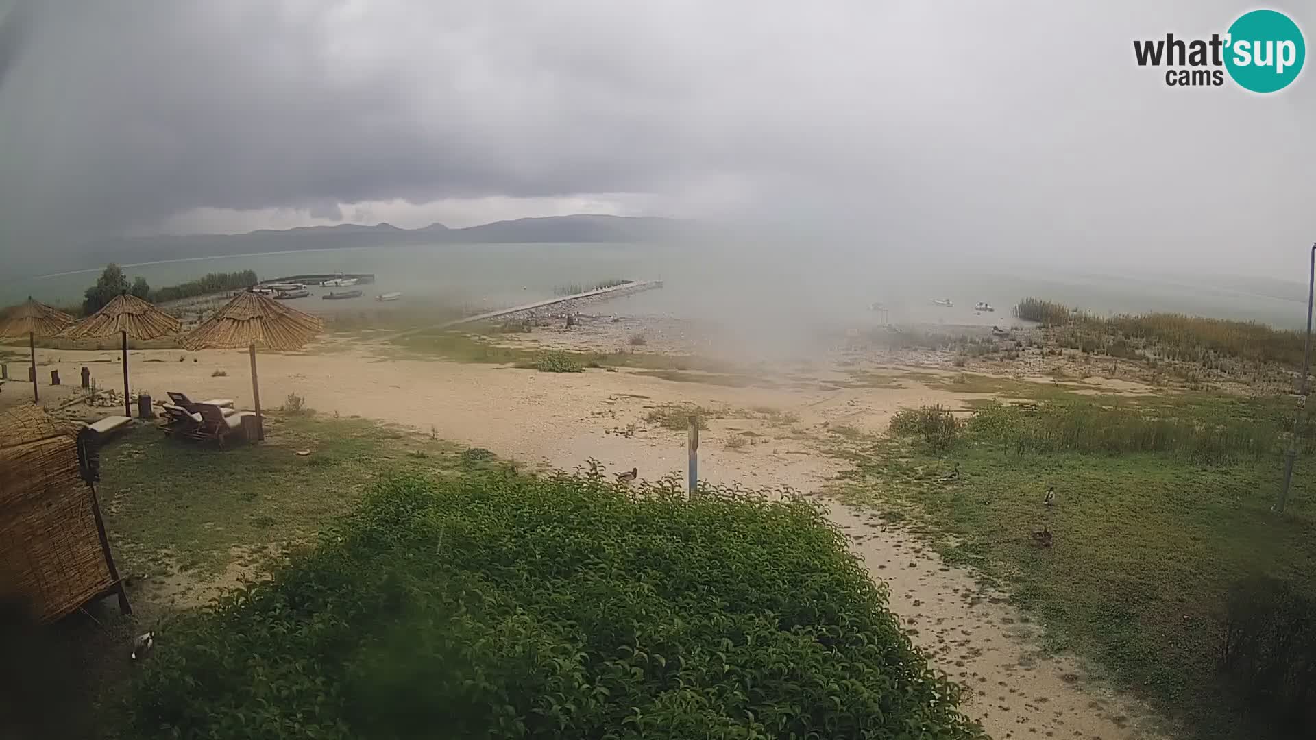 Vransko jezero spletna kamera