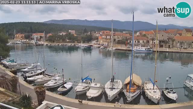 Vrboska livecam | Isola di Hvar | Croazia