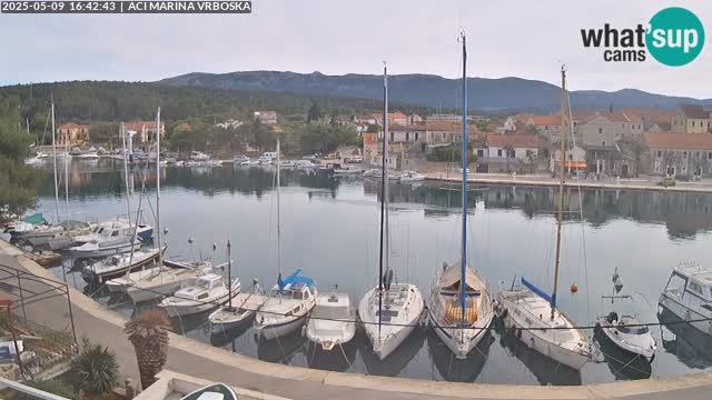 Vrboska web kamera | otom Hvar | Dalmacija
