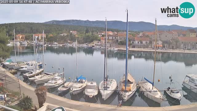 Vrboska web kamera | otom Hvar | Dalmacija