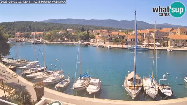 Camera Vrboska | Isla de Hvar | Croacia