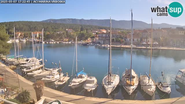 Camera Vrboska | Isla de Hvar | Croacia
