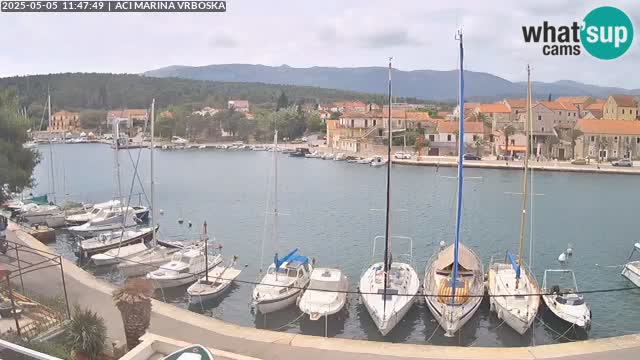 Vrboska web kamera | otom Hvar | Dalmacija