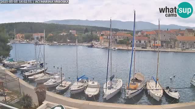 Vrboska Île de Hvar | Croatie