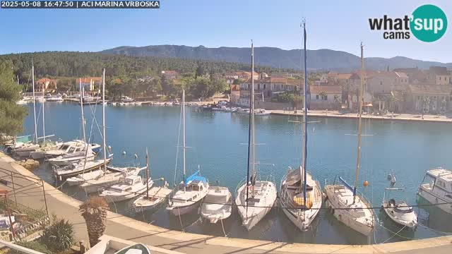 Vrboska livecam | Isola di Hvar | Croazia