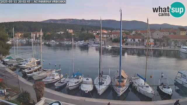 Vrboska Île de Hvar | Croatie