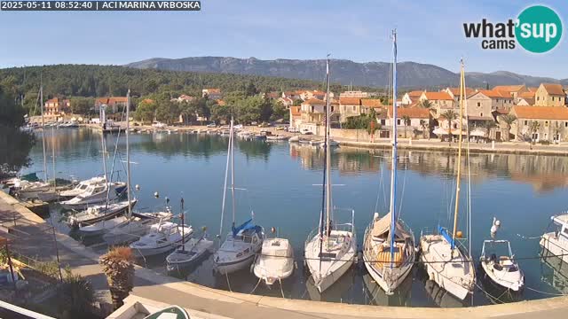 Vrboska livecam | Isola di Hvar | Croazia