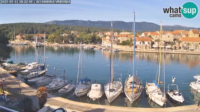 Vrboska livecam | Isola di Hvar | Croazia