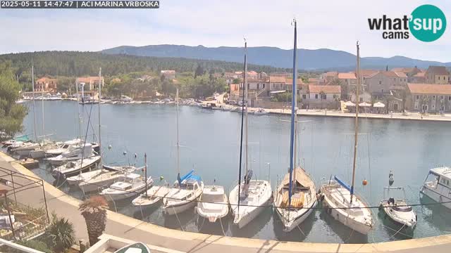 Vrboska web kamera | otom Hvar | Dalmacija
