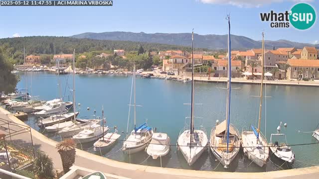 Camera Vrboska | Isla de Hvar | Croacia