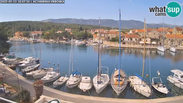 Camera Vrboska | Isla de Hvar | Croacia