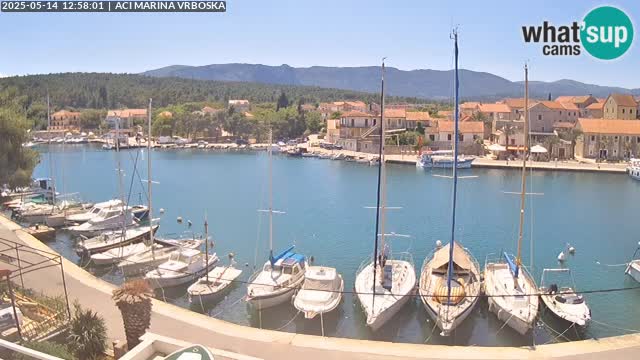 Camera Vrboska | Isla de Hvar | Croacia
