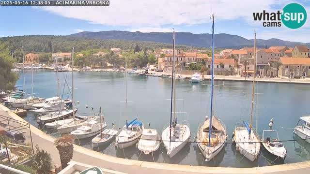 Vrboska web kamera | otom Hvar | Dalmacija