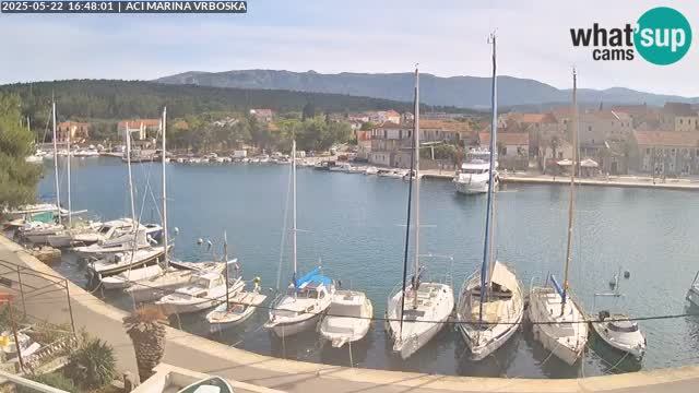 Vrboska web kamera | otom Hvar | Dalmacija