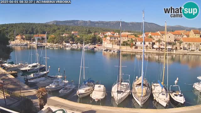 Vrboska web kamera | otom Hvar | Dalmacija