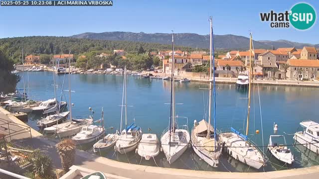 Vrboska livecam | Isola di Hvar | Croazia
