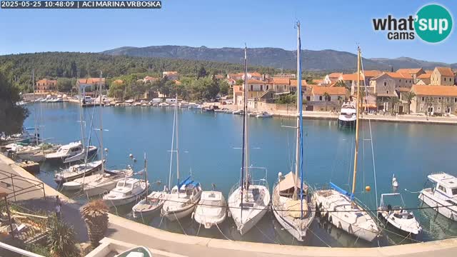Vrboska livecam | Isola di Hvar | Croazia