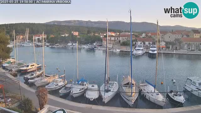 Camera Vrboska | Isla de Hvar | Croacia