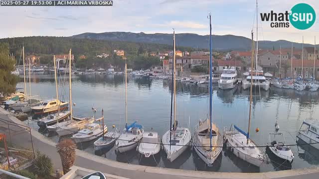 Camera Vrboska | Isla de Hvar | Croacia