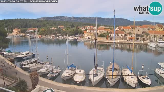 Vrboska web kamera | otom Hvar | Dalmacija