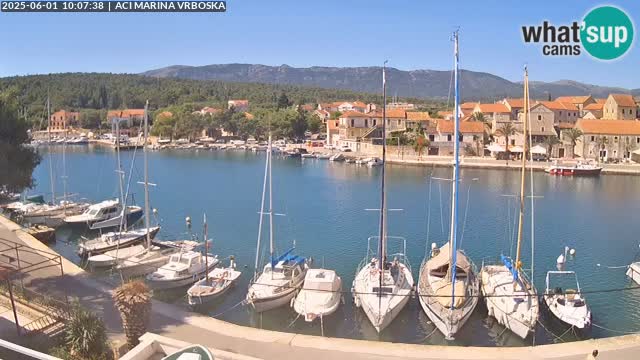Camera Vrboska | Isla de Hvar | Croacia