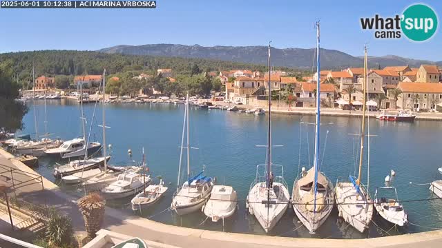 Camera Vrboska | Isla de Hvar | Croacia