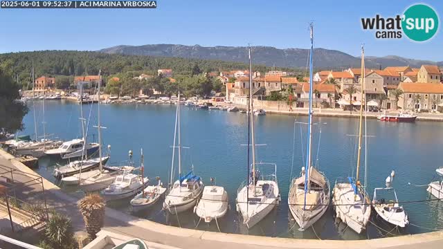 Camera Vrboska | Isla de Hvar | Croacia