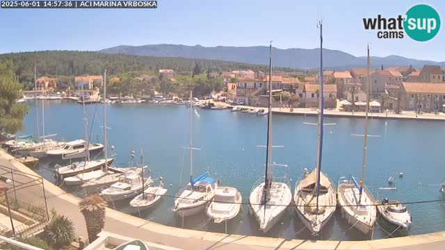 Camera Vrboska | Isla de Hvar | Croacia