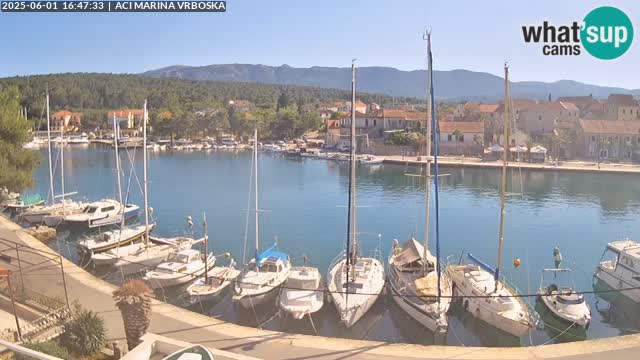 Vrboska livecam | Isola di Hvar | Croazia