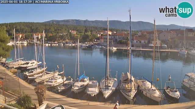 Vrboska webcam | Hvar Insel | Kroatien