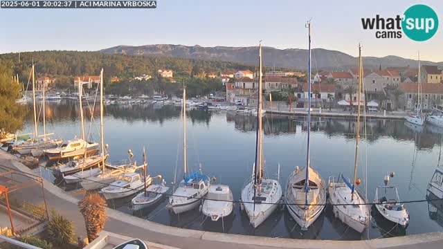 Camera Vrboska | Isla de Hvar | Croacia