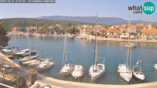 Camera Vrboska | Isla de Hvar | Croacia