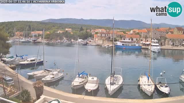 Vrboska Île de Hvar | Croatie
