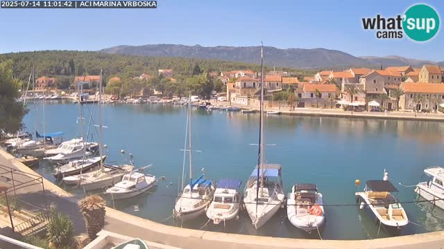 Camera Vrboska | Isla de Hvar | Croacia