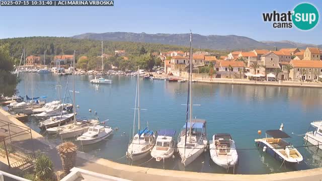 Camera Vrboska | Isla de Hvar | Croacia
