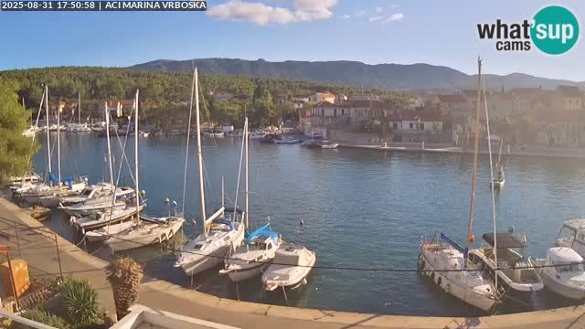 Vrboska web kamera | otom Hvar | Dalmacija