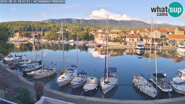 Camera Vrboska | Isla de Hvar | Croacia