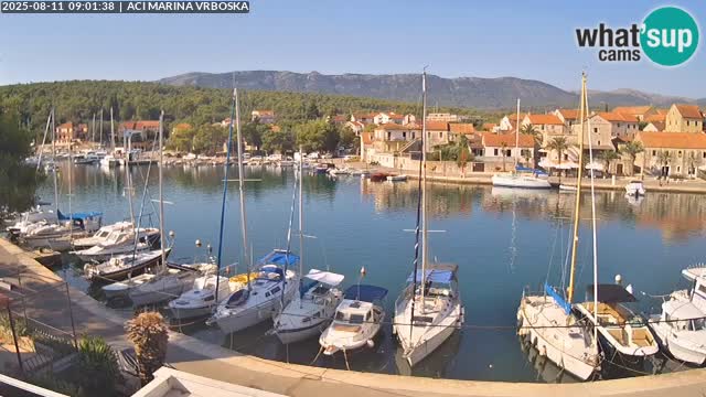 Vrboska web kamera | otom Hvar | Dalmacija