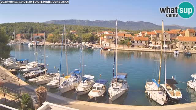 Vrboska livecam | Isola di Hvar | Croazia