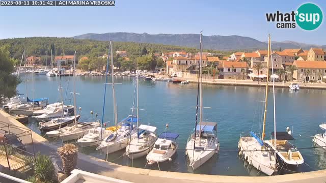 Vrboska livecam | Isola di Hvar | Croazia