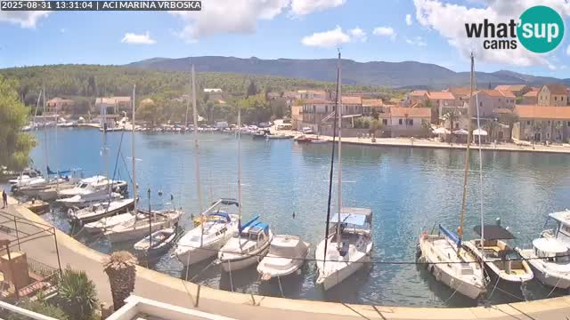 Vrboska web kamera | otom Hvar | Dalmacija