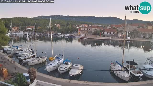 Vrboska web kamera | otom Hvar | Dalmacija