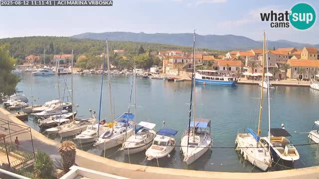 Vrboska livecam | Isola di Hvar | Croazia