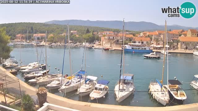 Vrboska livecam | Isola di Hvar | Croazia