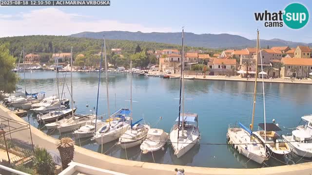 Camera Vrboska | Isla de Hvar | Croacia