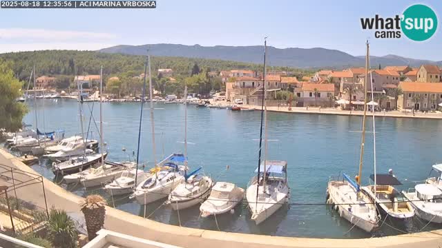 Vrboska webcam | Island of Hvar | Croatia